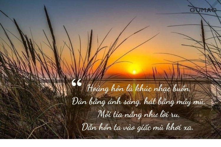 tho ve chieu hoang hon hay va y nghia