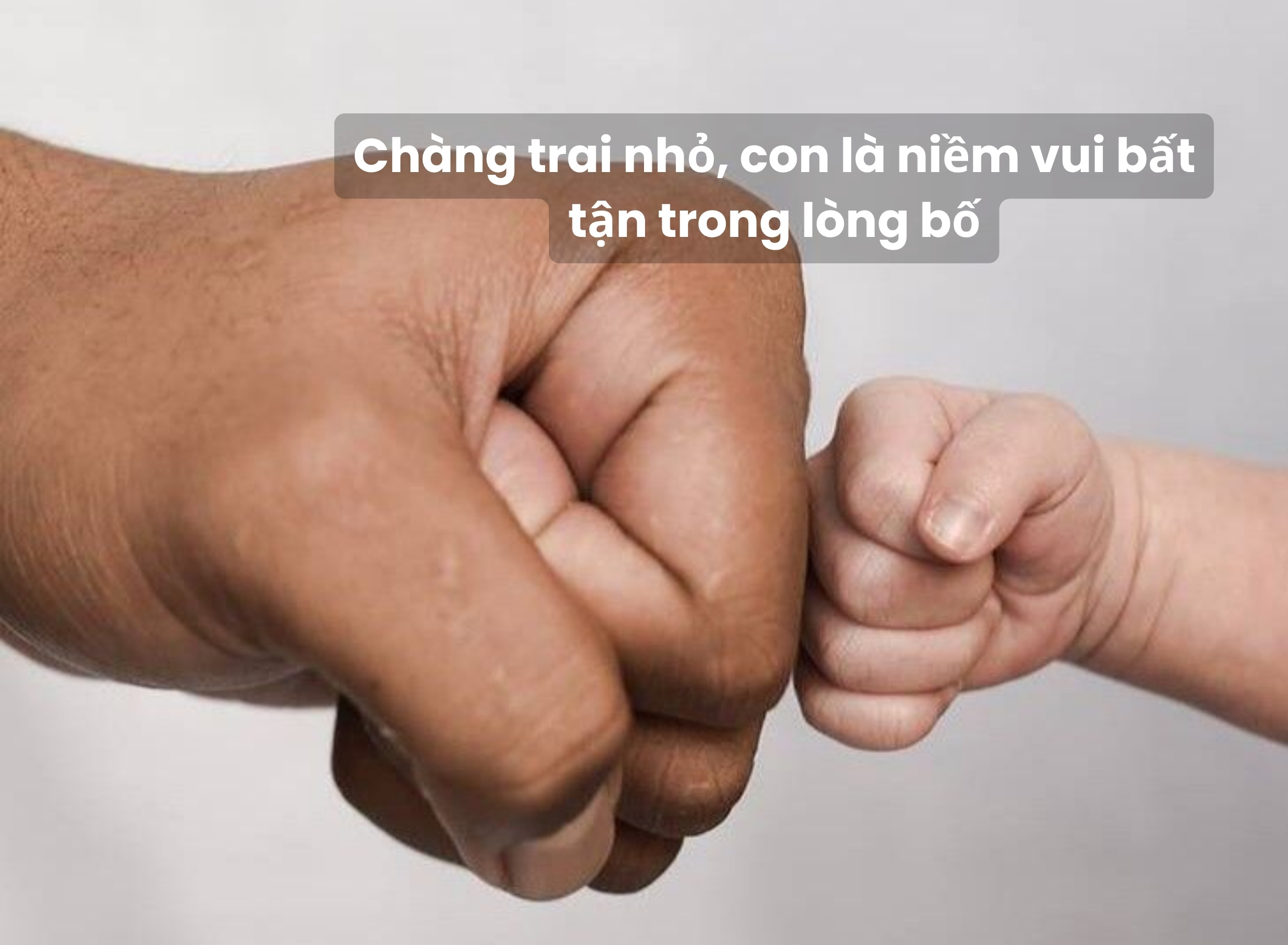 stt cho be trai