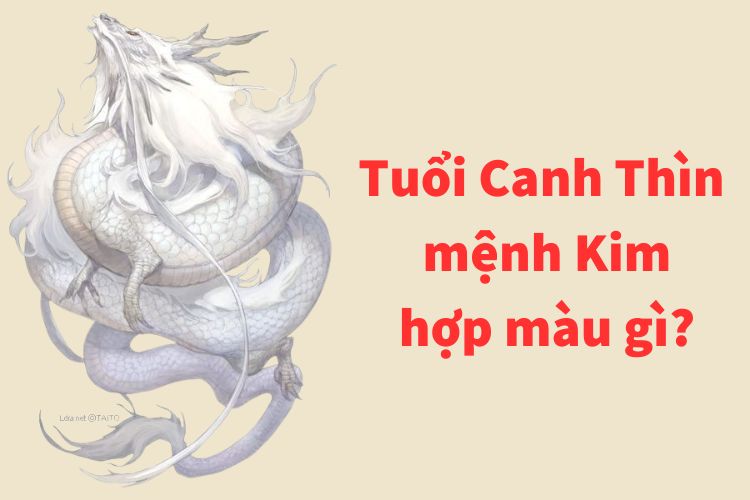 Tuổi Canh Thìn 2000 hợp màu gì tuoi canh thin 2000 menh kim hop mau gi