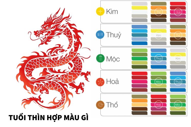 tuoi thin hop mau gi nam 2026