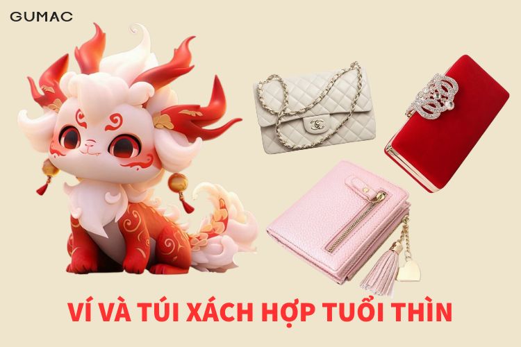 vi va tui xach hop tuoi thin