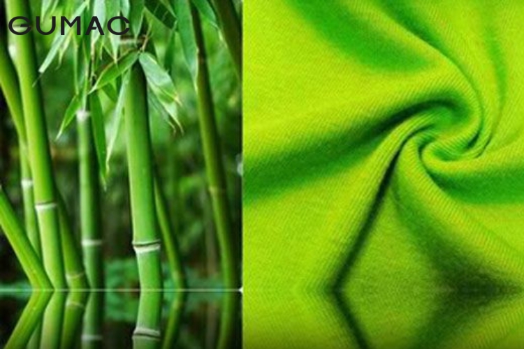 Vải Bamboo là gì? Vải Bamboo là gì?