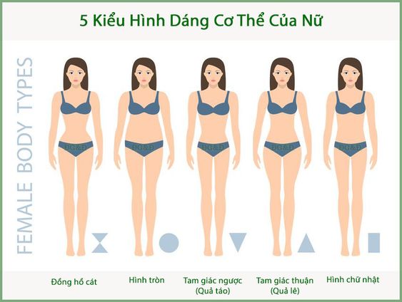 dáng người cơ bản dáng người cơ bản