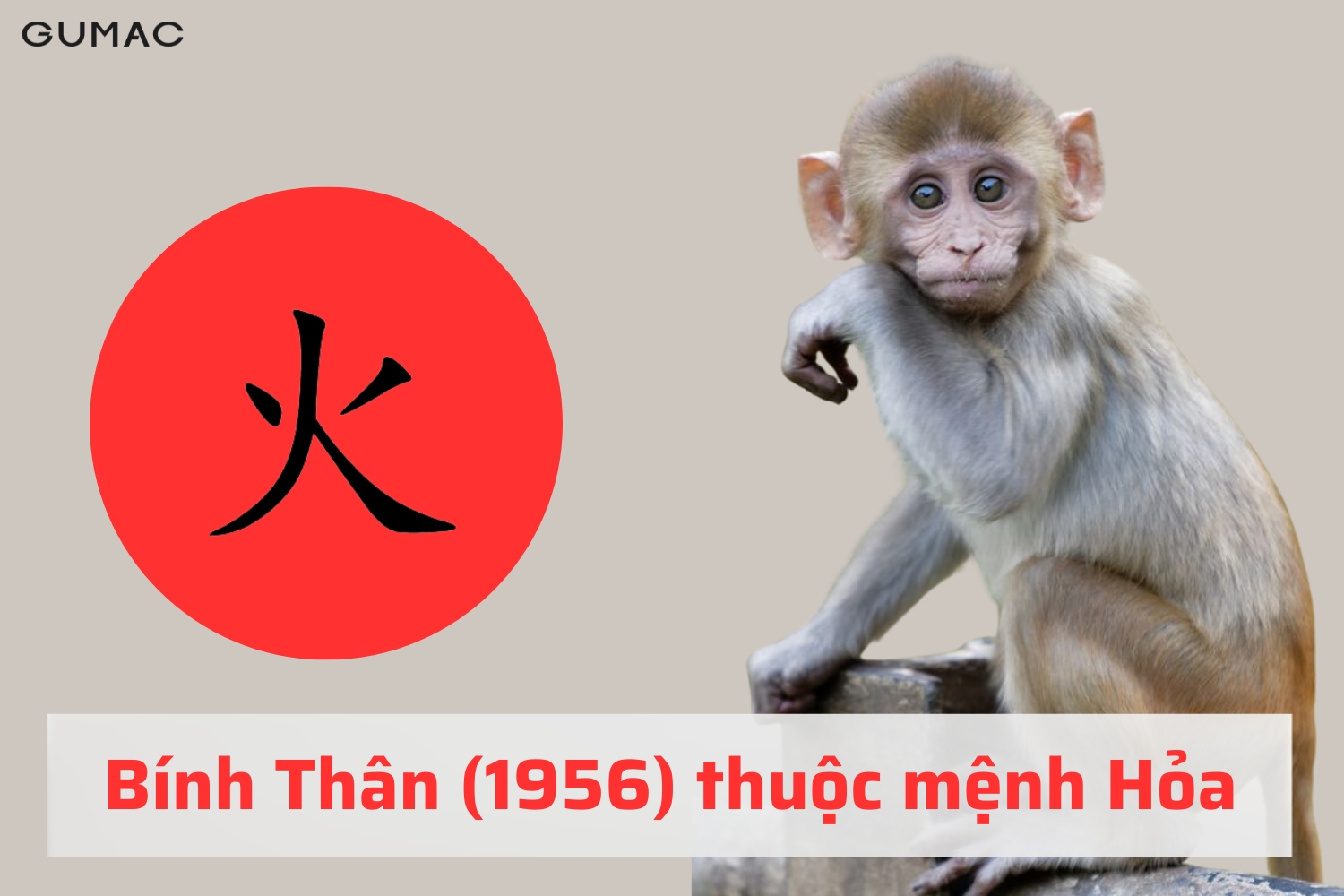 Tuổi Bính Thân 1956 hợp màu gì binh than 1956 hop mau gi
