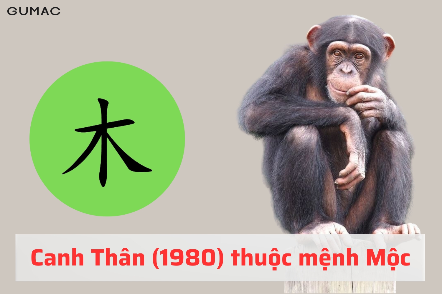 Tuổi Canh Thân 1980 hợp màu gì canh than 1980 hop mau gi