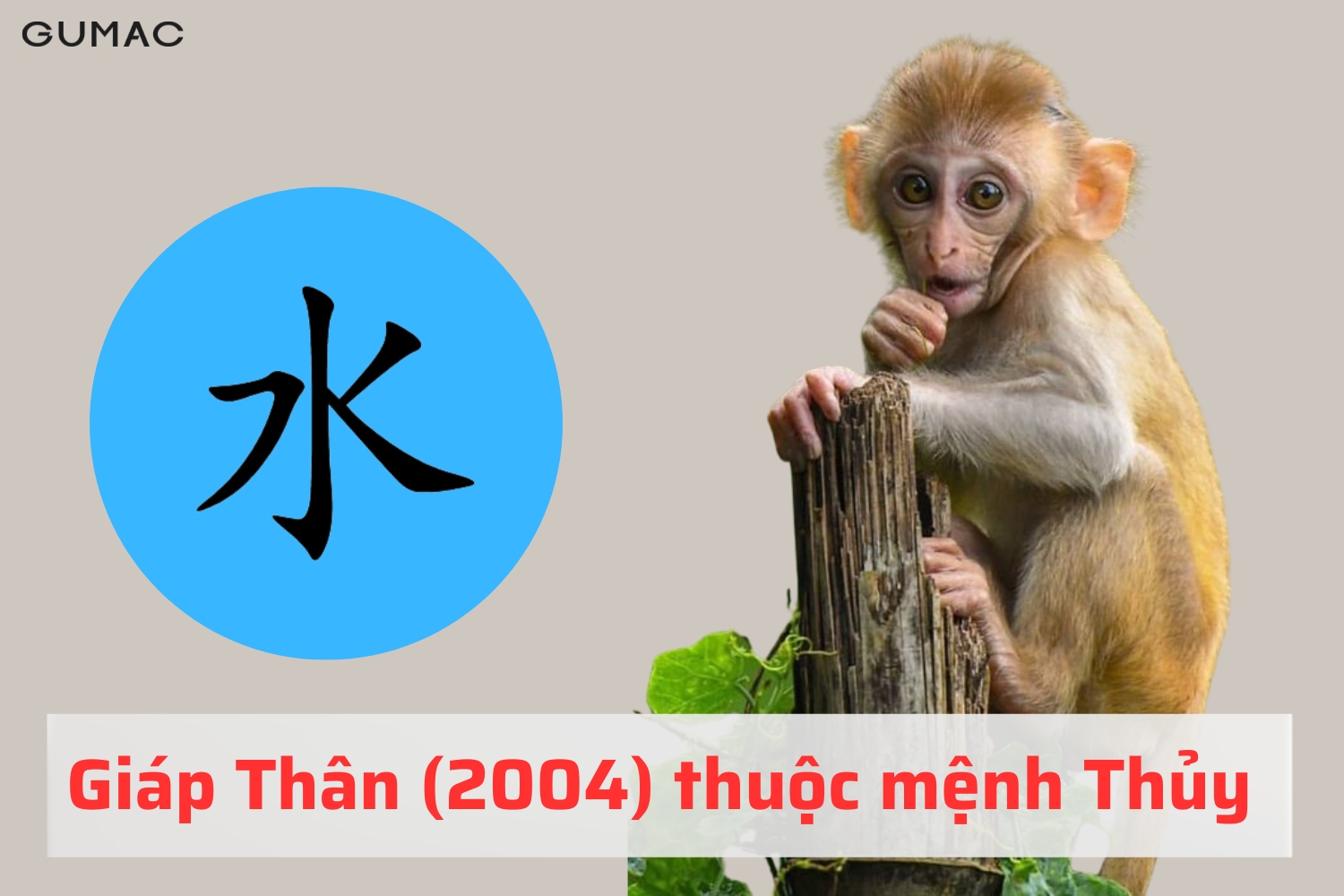 Tuổi Giáp Thân 2004 hợp màu gì giap than 2004 hop mau gi