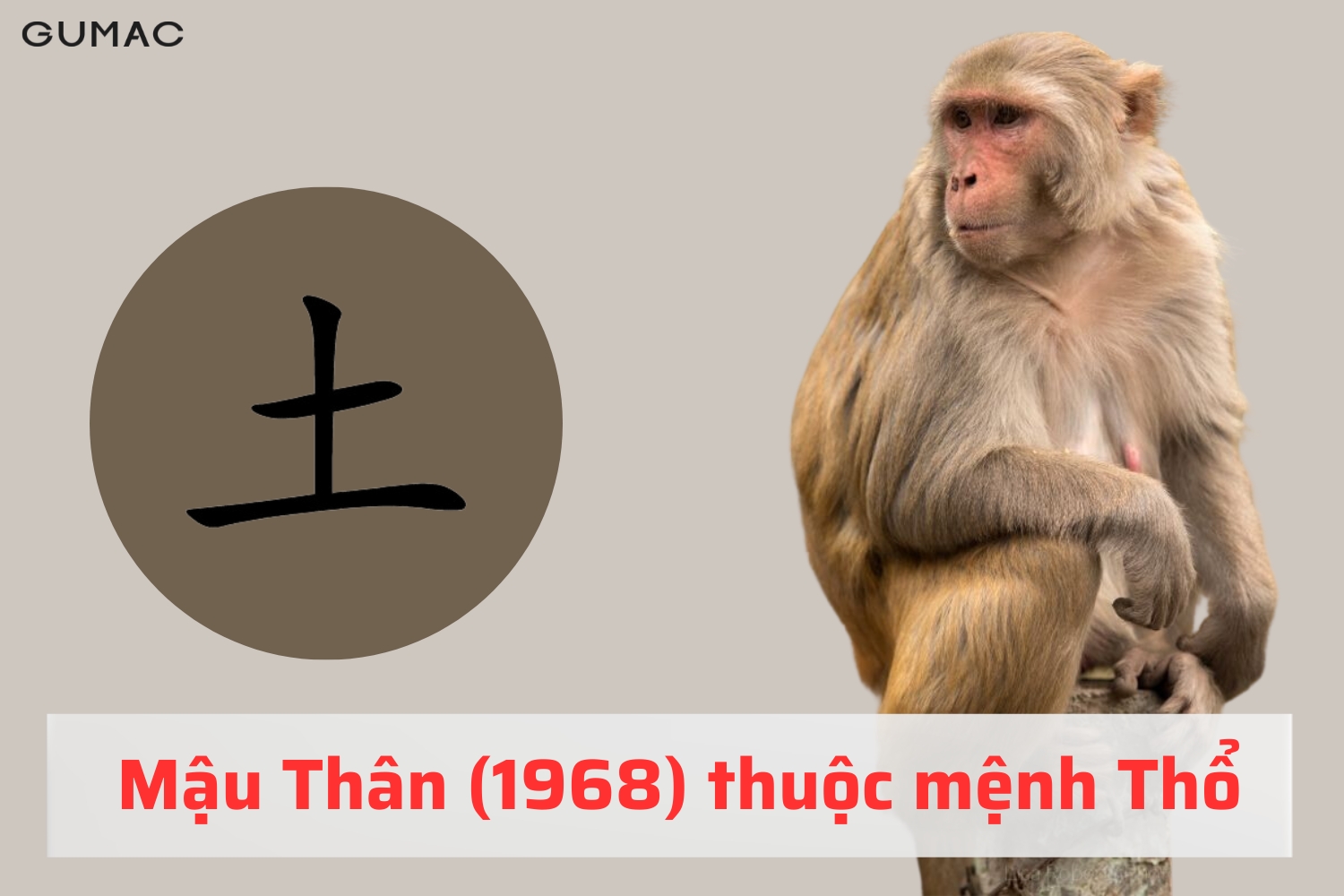 Tuổi Mậu Thân 1968 hợp màu gì mau than 1968 hop mau gi