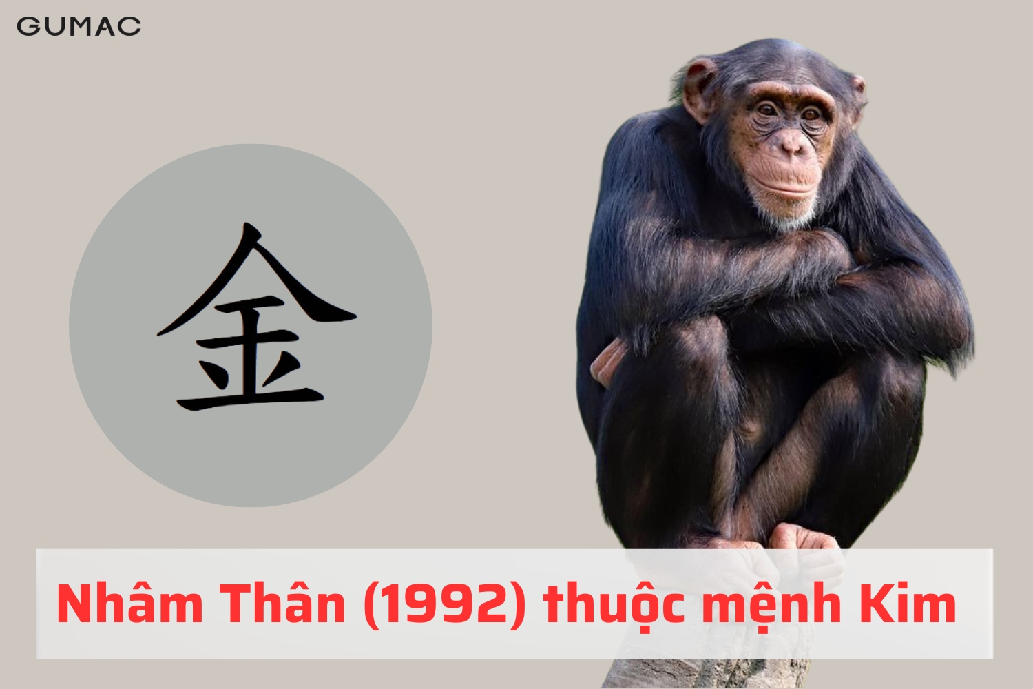 Tuổi Nhâm Thân 1992 hợp màu gì tuoi than 1992 hop mau gi 2026