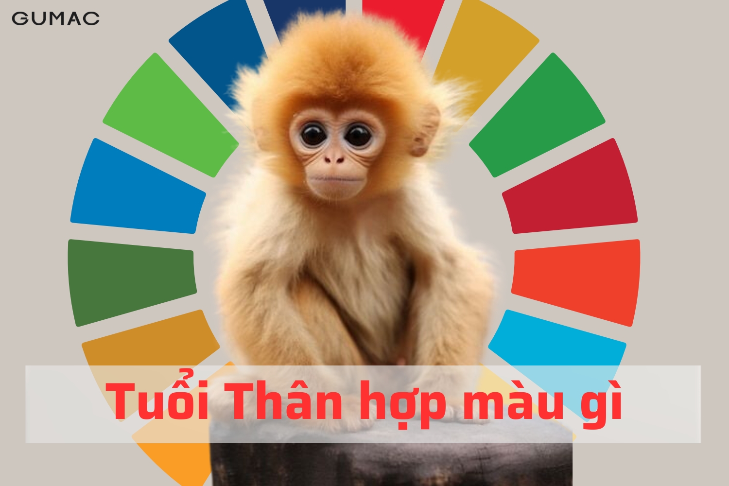 Tuổi Thân hợp màu gì tuoi than hop mau gi 2026
