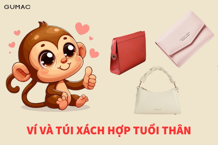 vi va tui xach hop tuoi than