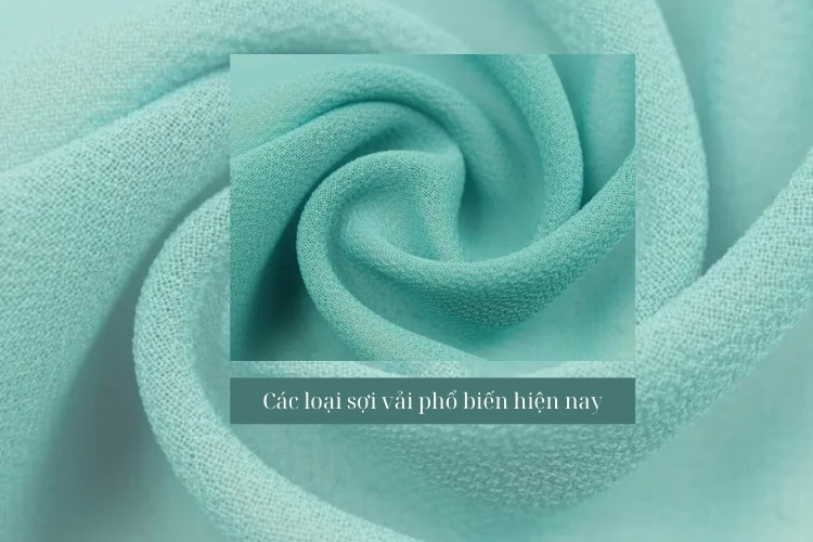 cac loai soi vai pho bien hien nay