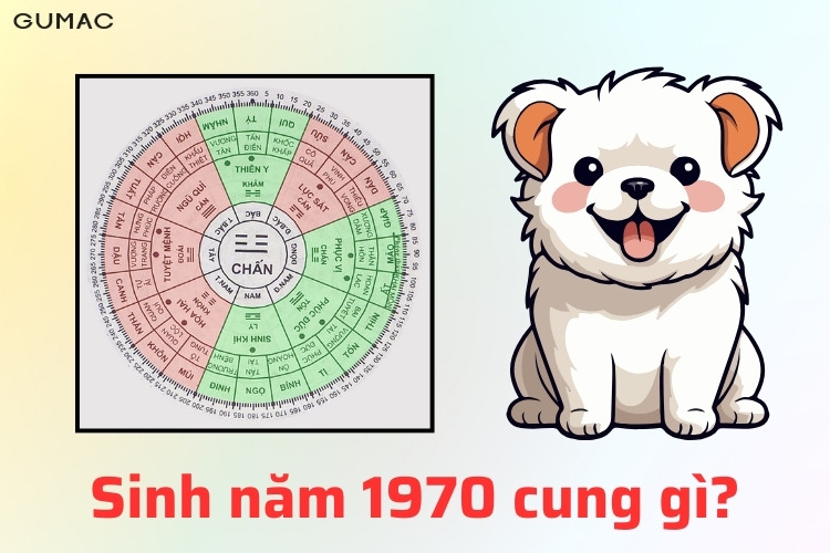 tuoi Tuat sinh nam 1970 thuoc cung gi