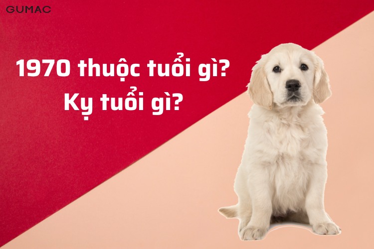 sinh nam 1970 tuoi con gi