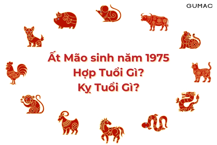 at mao sinh nam 1975 hop va ky tuoi nao