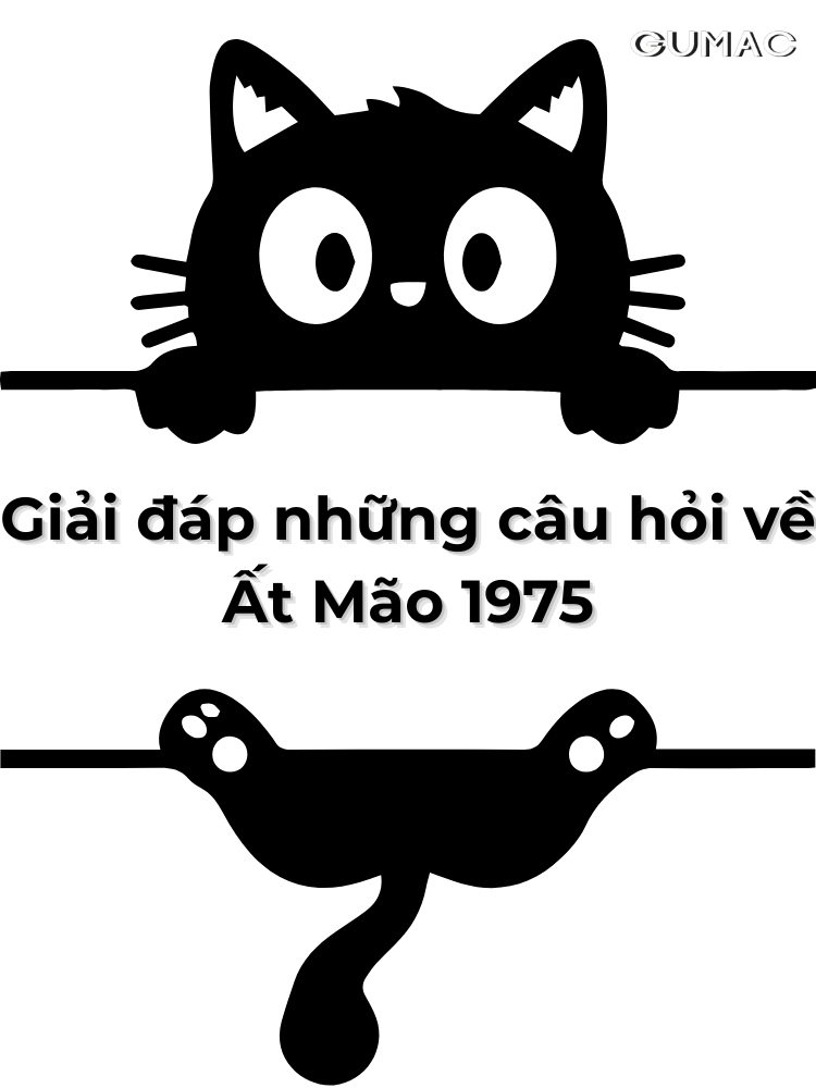 giai dap nhung cau hoi ve at mao 1975 menh gi hop mau gi