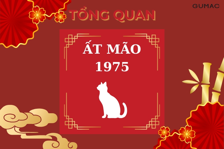 tong quan ve nguoi at mao sinh nam 1975