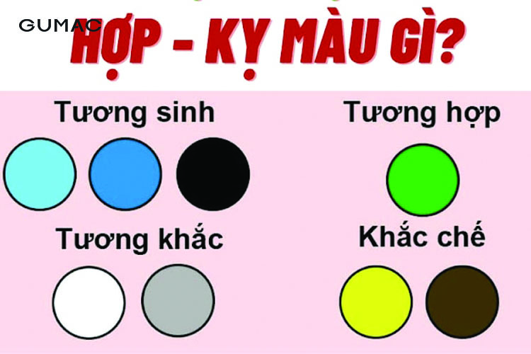 Người tuổi Thân sinh năm 1980 kỵ màu gì