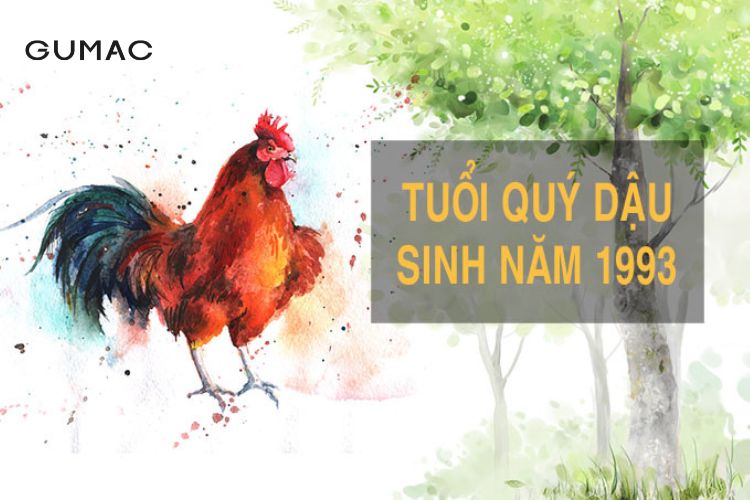 Sinh năm 1993 tuổi mệnh gì, tuổi con gì?