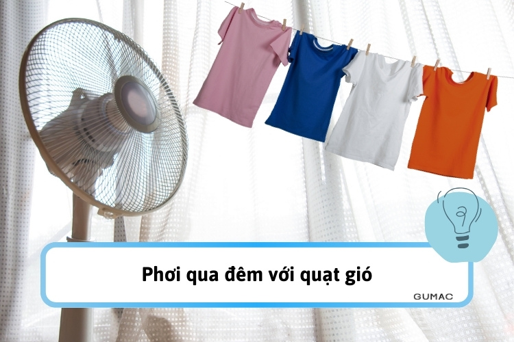 phoi qua dem voi quat gio