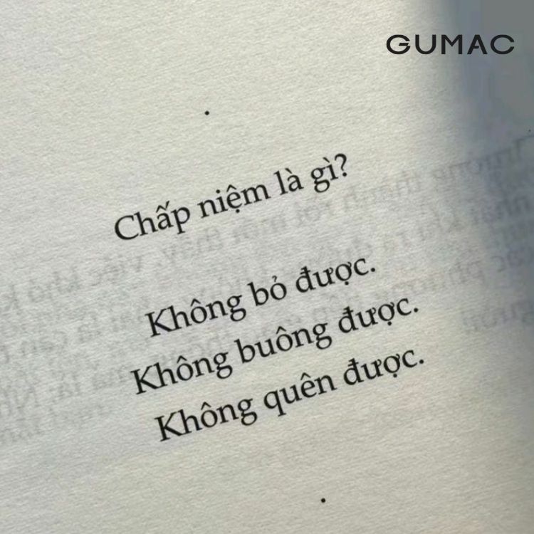 stt ve dieu thuoc va tinh yeu
