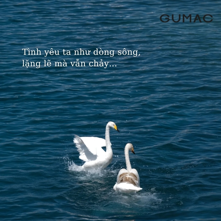 stt gap dung nguoi