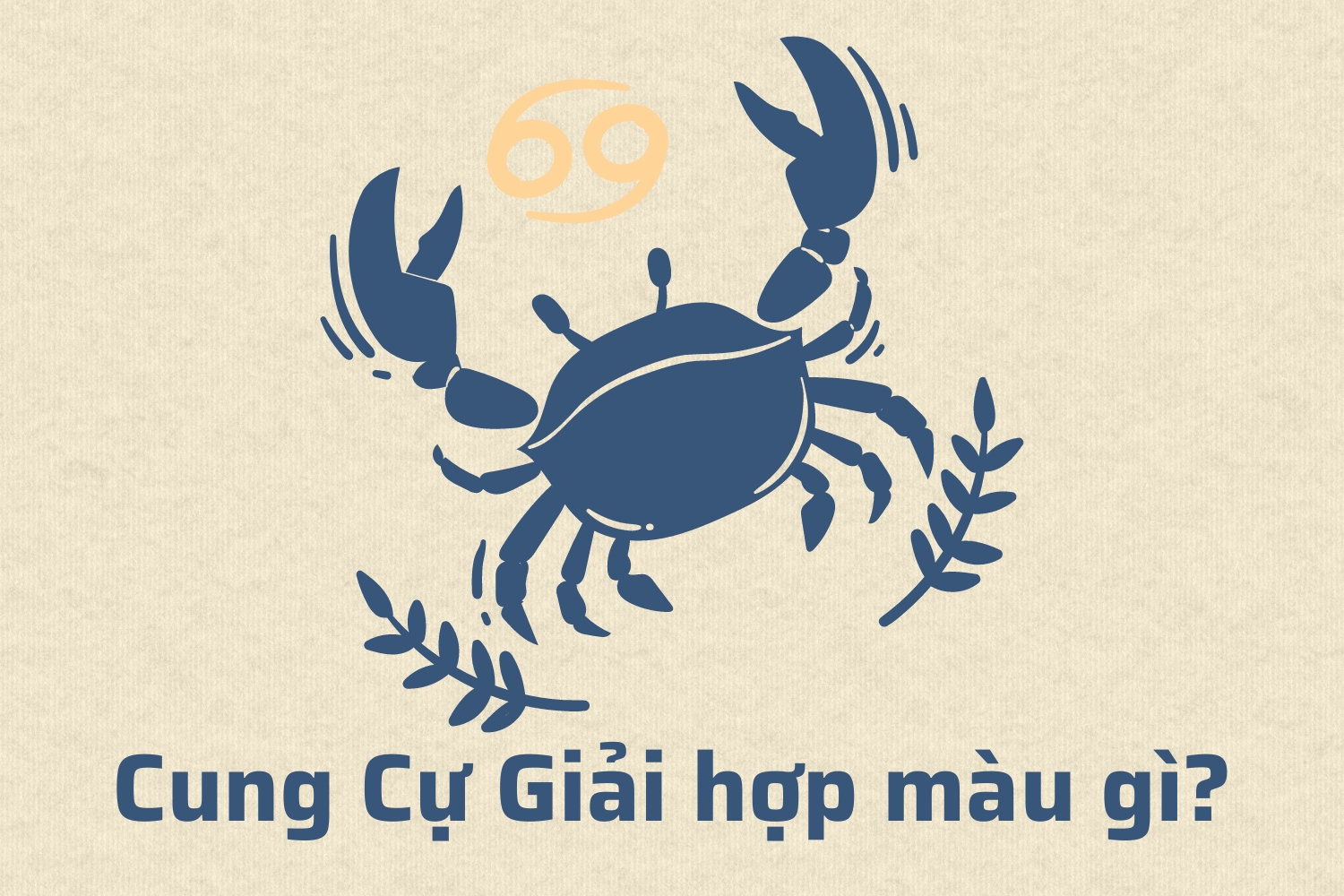 cung cu giai hop mau gi