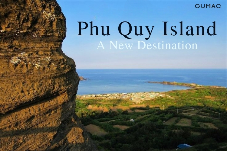 dao phu quy co gi choi
