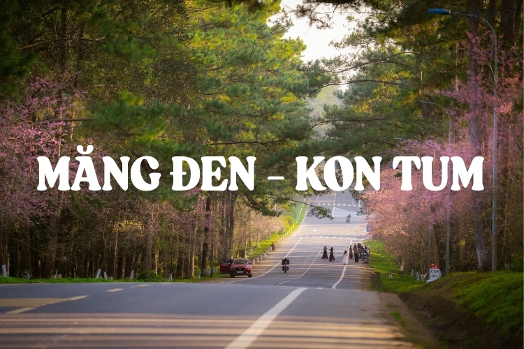 di mang den mac gi cho dep