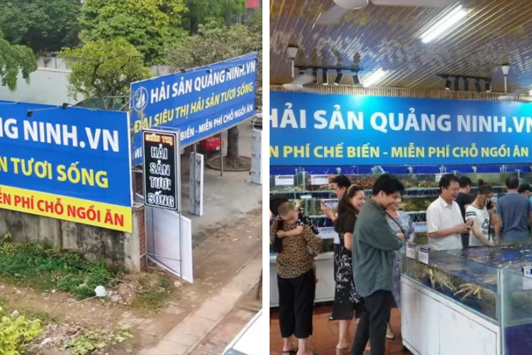 Hải sản Quảng Ninh.VN