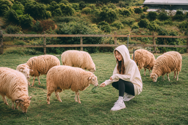 Áo hoodie phối quần legging đi chơi Chika Farm năng động, thoải mái. (Ảnh được tạo bởi AI)