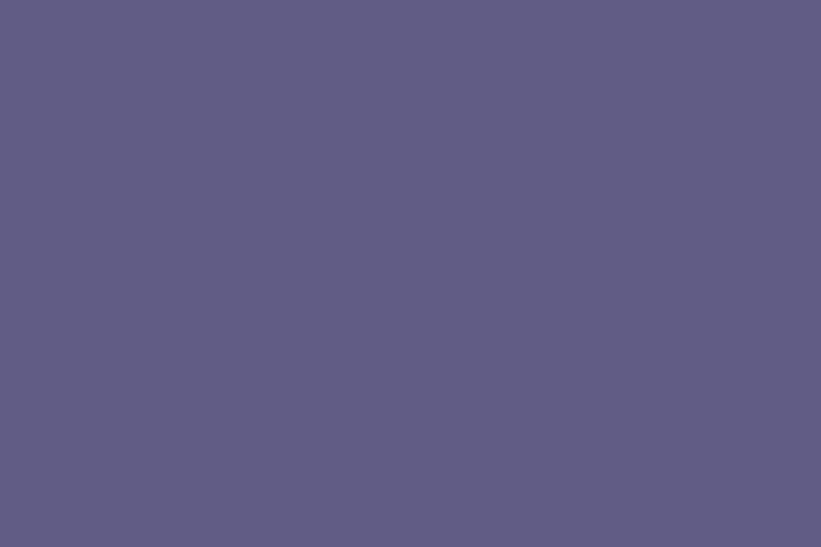 mau pastel #615C84 (Mostly desaturated dark blue)