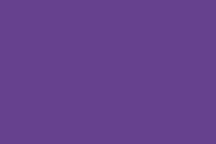mau pastel #66428E (Dark moderate violet)