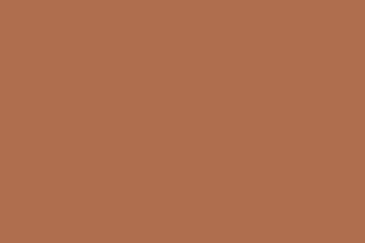 mau pastel #AF6E4E (Dark moderate orange)
