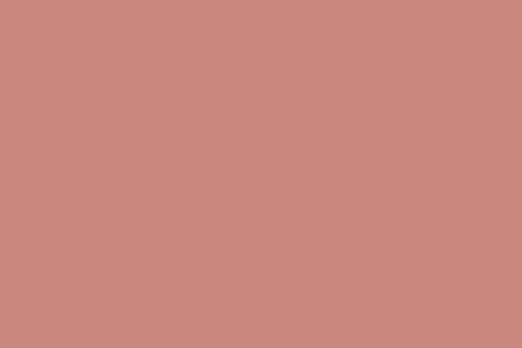 mau pastel #CA877E (Slightly desaturated red)