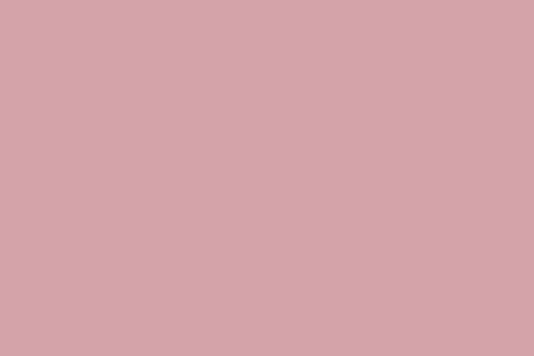 màu pastel #D2A3A9 (Grayish red)