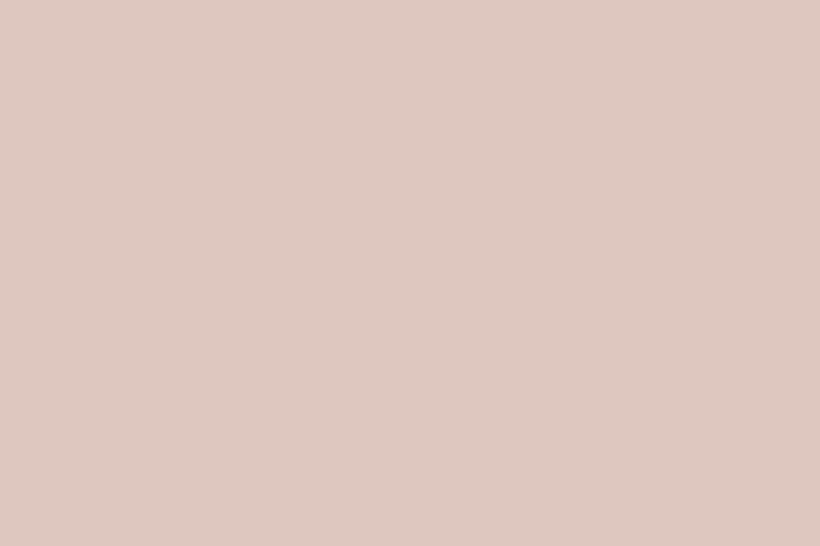 màu pastel #DFC7C1 (Light grayish red)