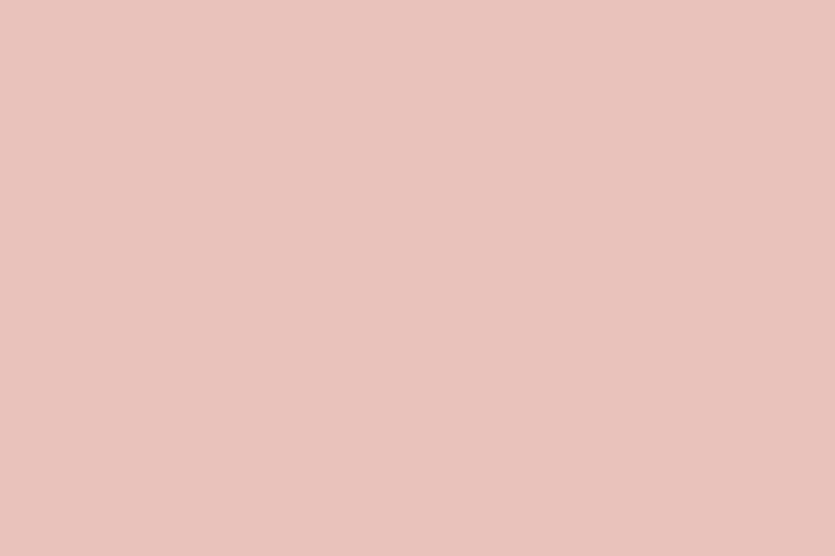 mau pastel #E9C3BB (Light grayish red)