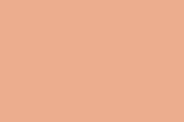 mau pastel #ECAD8F (Very soft orange)