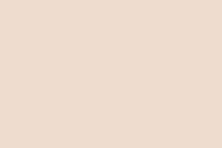 mau pastel #EEDCCE (Light grayish orange)