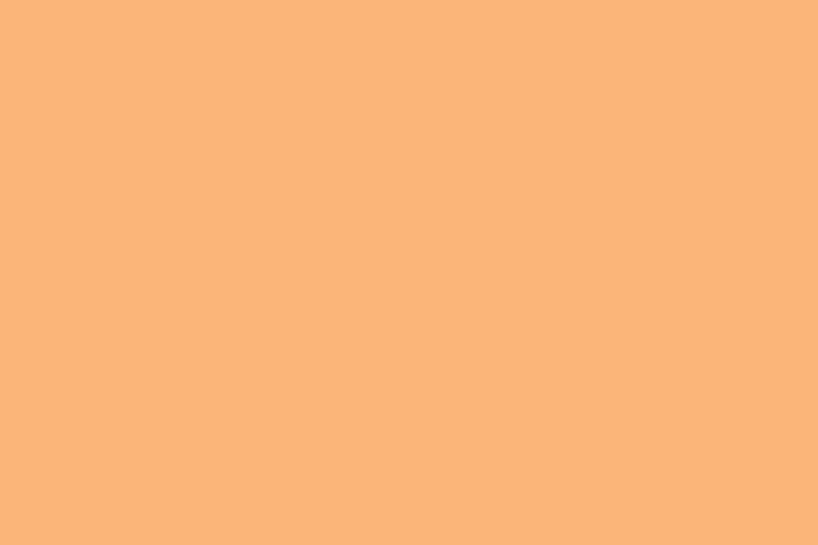 mau pastel #FBB579 (Soft orange)