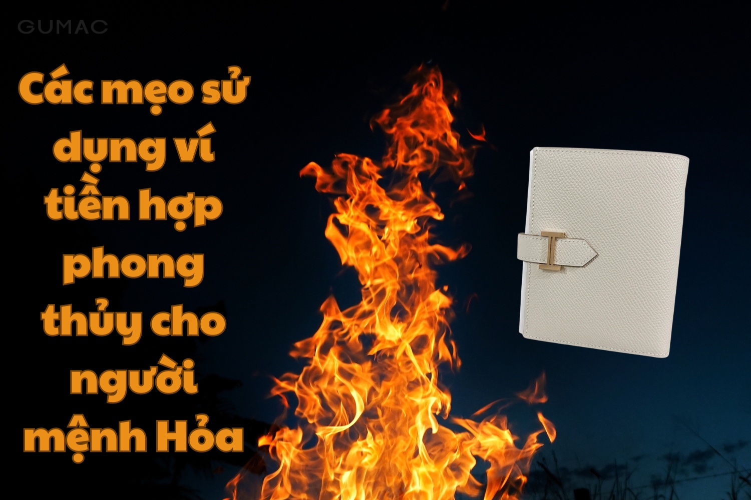 cac meo su dung vi tien hop phong thuy cho nguoi menh hoa