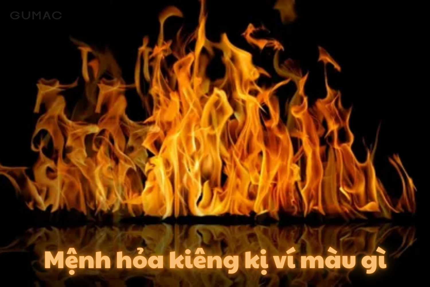 menh hoa khong nen dung vi mau gi