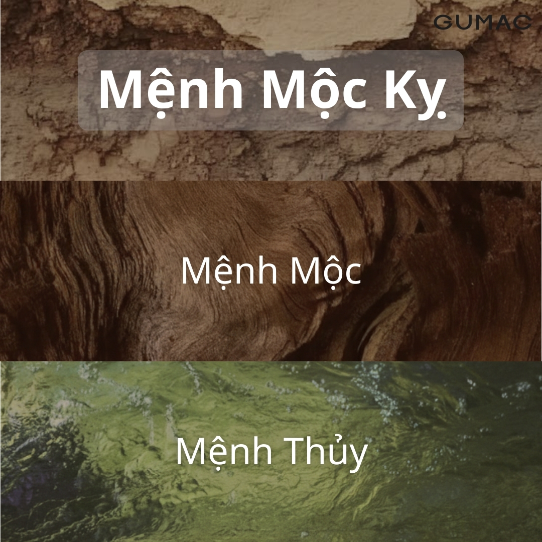 menh tho ky menh nao