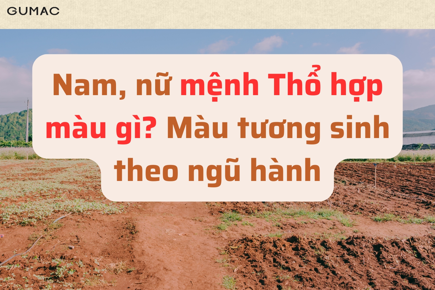 nam nu menh tho hop mau gi mau tuong sinh theo ngu hanh