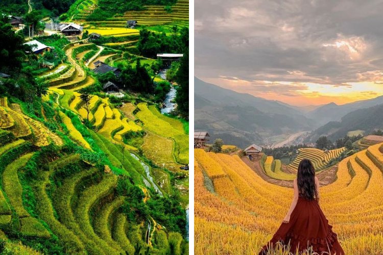 Du lịch miền núi Mù Cang Chải