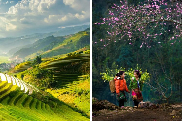 Cảnh đẹp Lào Cai