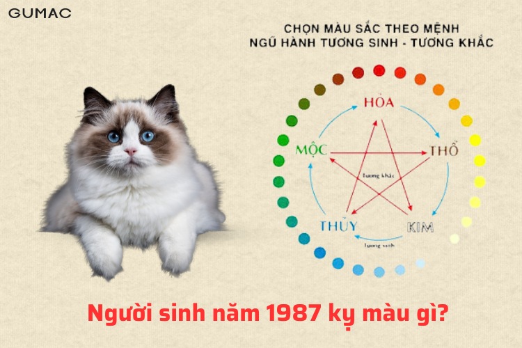 mau ky cua nguoi sinh nam 1987