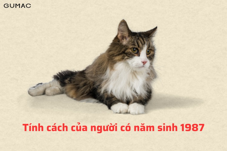 Tinh cach cua nguoi tuoi Mao sinh nam 1987