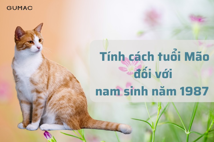 nam sinh nam 1987 tuoi Mao co tinh cach nhu the nao