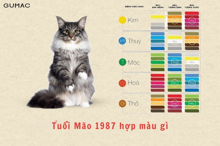 Tuoi Mao 1987 hop mau nao
